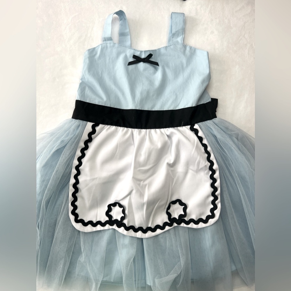 Alice in Wonderland Halloween Costume